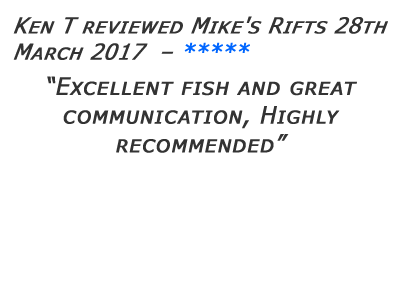 Mikes Rifts Review 10